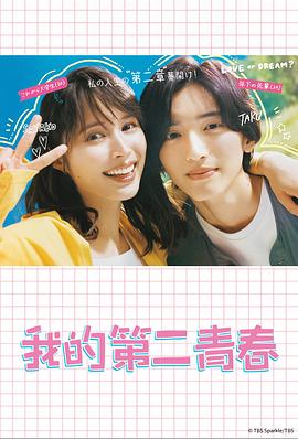 美国经典喜剧海报剧照